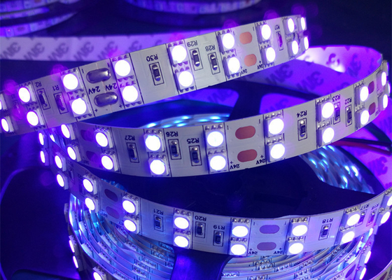 Bande UV rangée ultra-violette UV LED de 365nm 385nm 395nm 405nm 5050 de la double 120 LED par mètre