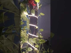 Corde lumineuse COB CC 24V Angle de vue 180 degrés Sans points