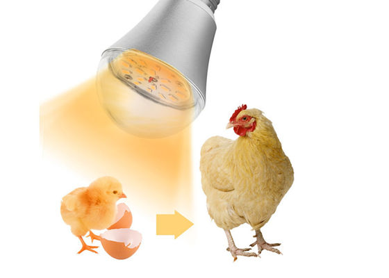 Lumières imperméables Dimmable 9W d'illumination de la ferme de poulet LED