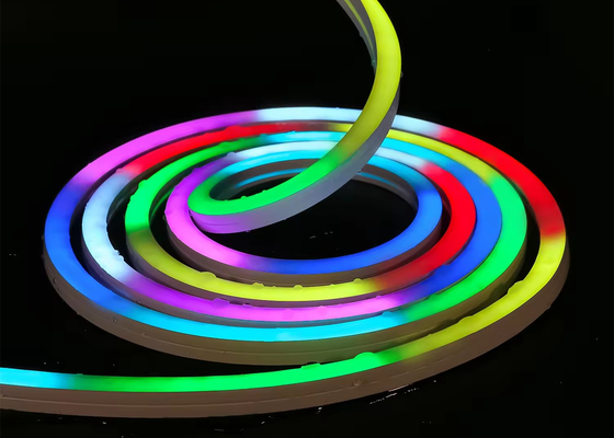 Indicateur personnalisé RGBW LED Neon Strip Flex Lumières DMX Signal 24V IP67 étanche pour la décoration intérieure et extérieure 1616mm