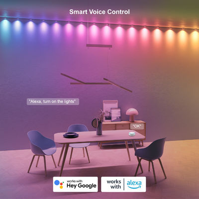 Lumières LED IP68 résistantes à l'eau pour décoration de Noël