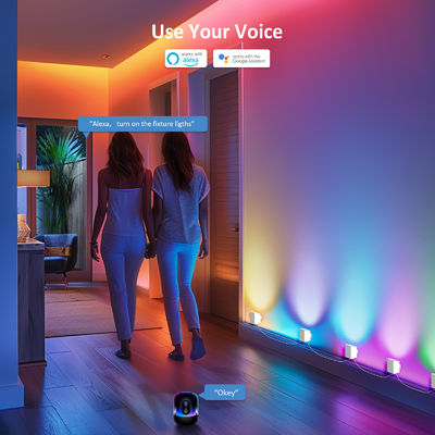 Contrôle par Bluetooth RGBCW Adressable Smart Wall Sconces / Eave Lights Pour la décoration de Noël