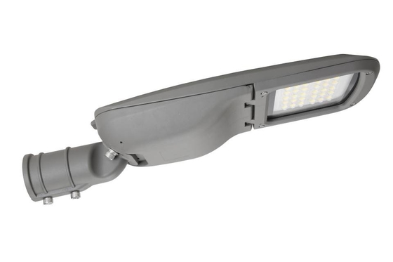 Le réverbère de L29 LED est un Designin classique allumant des chaînes de puissance du marché Coveredfrom 30W-200W